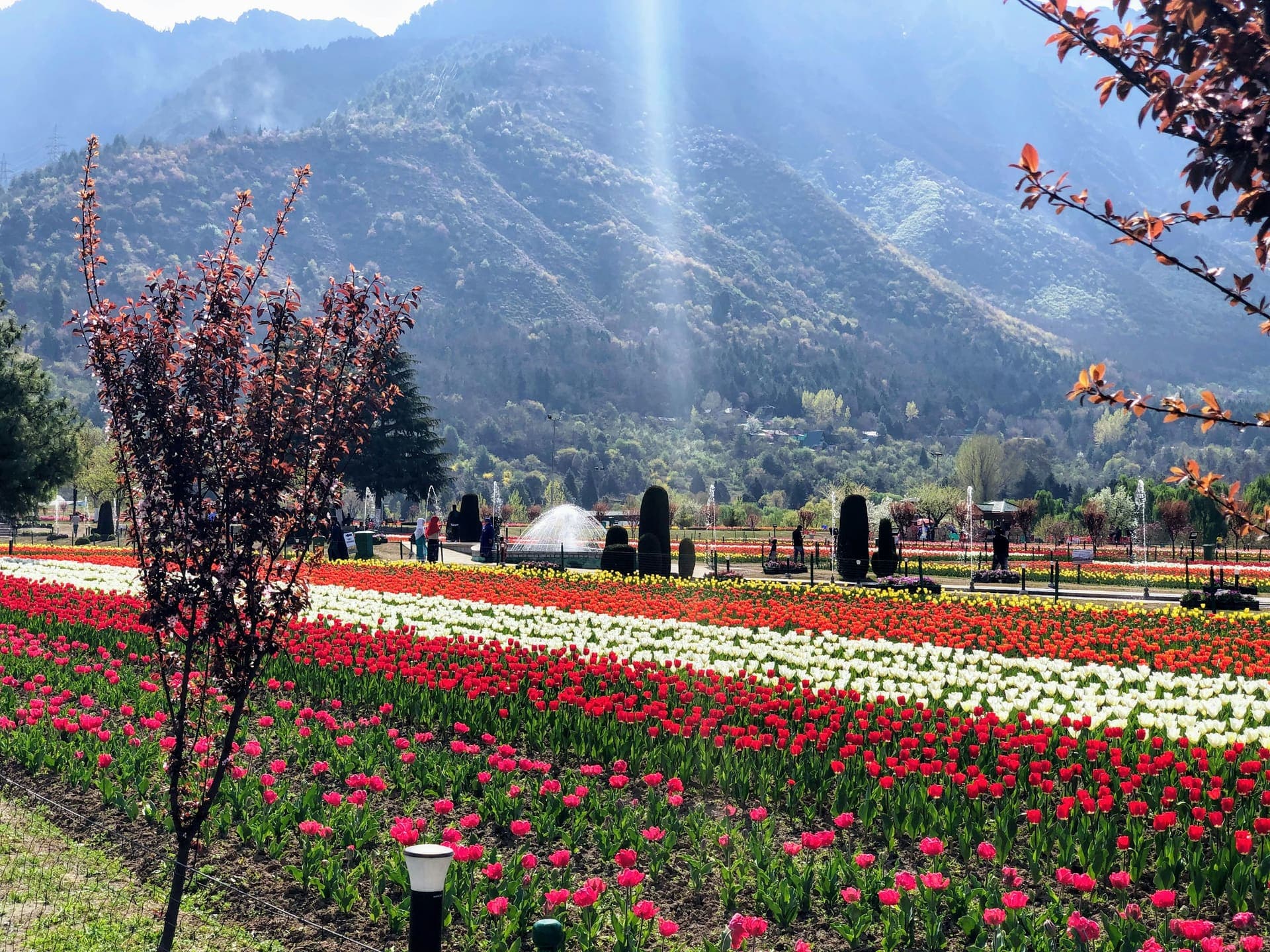 Kashmir Highlights