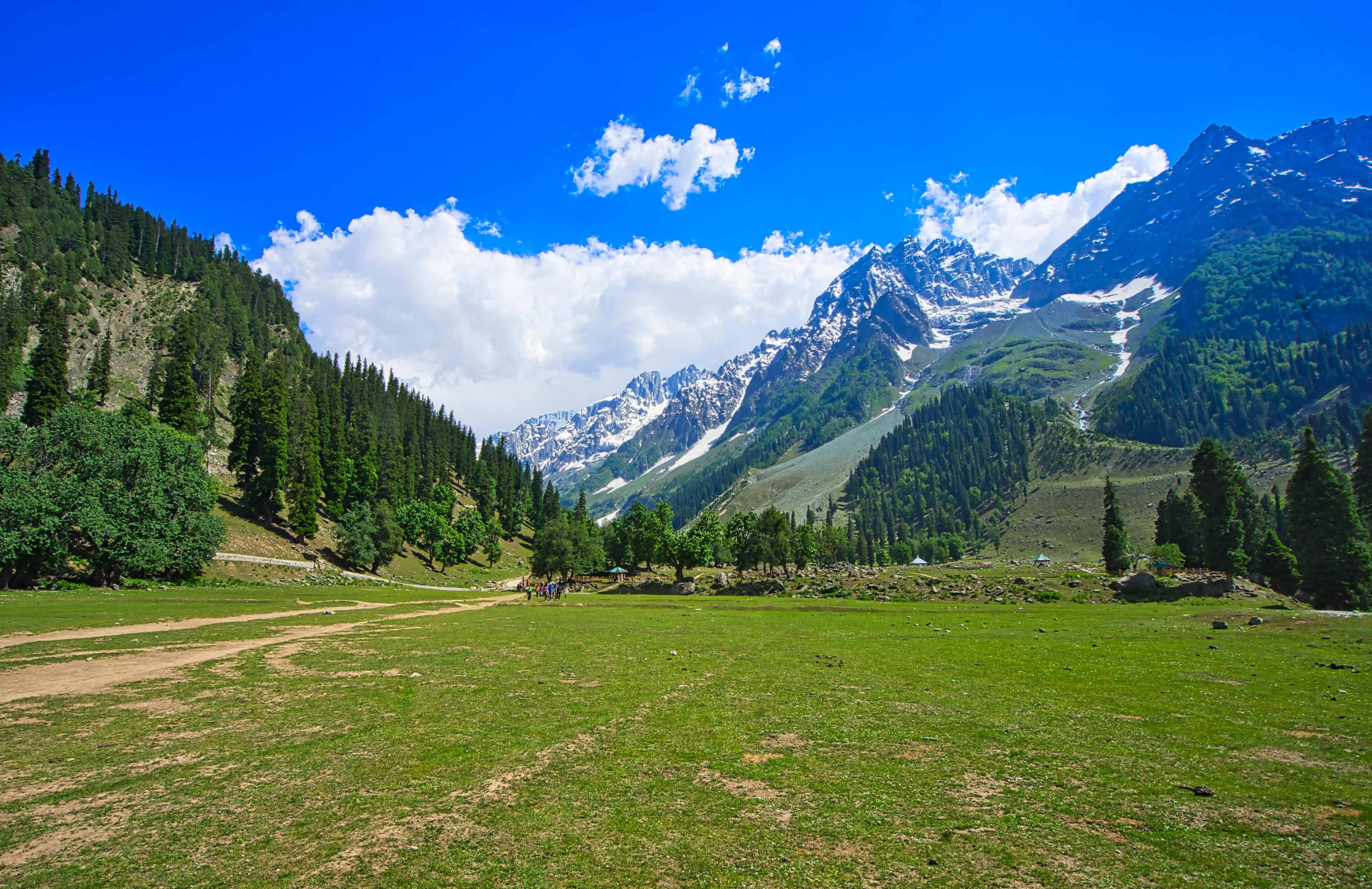 Sonamarg meadows
